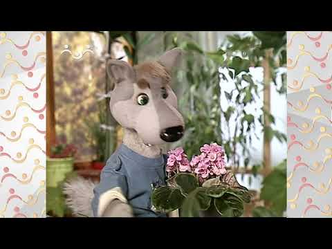 Видео: Шишкин Лес.  Зимний сад.  Кто красивей