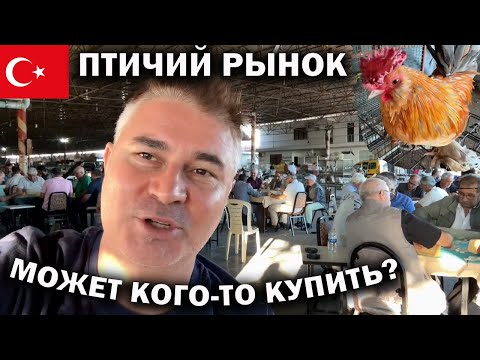 Видео: МОЖЕТ КОГО-ТО КУПИТЬ? ПТИЧИЙ РЫНОК В АНТАЛИИ. Что привозят из турецкой деревни #влог