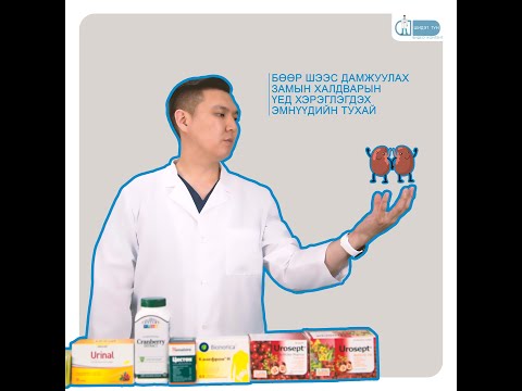 Видео: Бөөр Шээс Дамжуулах Замын Халдварын Үед Хэрэглэгдэх Эмнүүдийн Тухай | ШИДЭТ ТУН