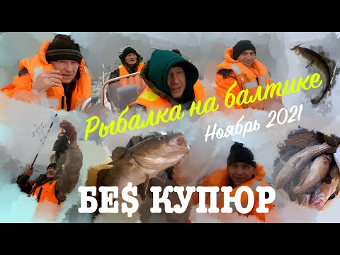 Видео: Балтийское море рыбалка на треску