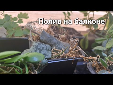 Видео: Капилярные маты на балконе