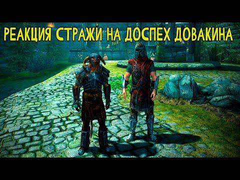 Видео: РЕАКЦИЯ СТРАЖИ НА ДОСПЕХ ДОВАКИНА - SKYRIM