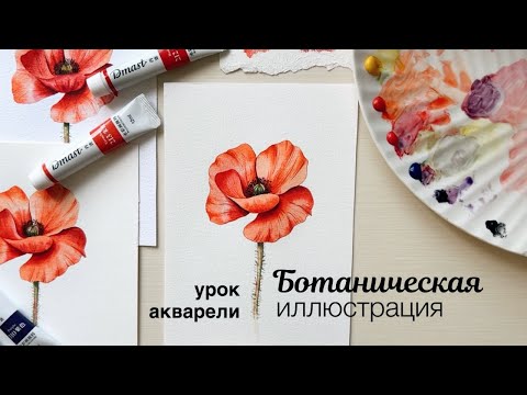 Видео: Ботаническая иллюстрация акварелью. Мастер-класс по рисованию цветов акварелью. Рисуем красный мак