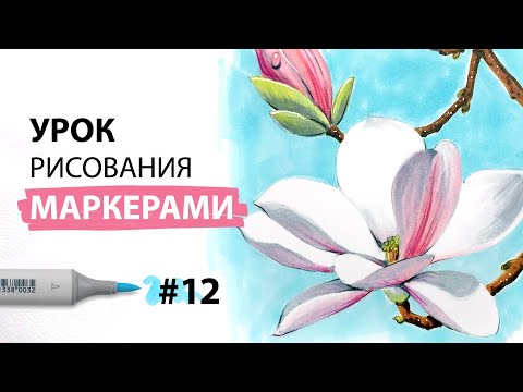 Видео: Как нарисовать магнолию? / Урок по рисованию маркерами для новичков #12