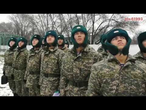 Видео: Прыжки с парашютной вышки 38 ДШБр