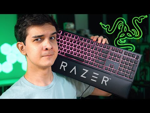 Видео: Игровая Клавиатура RAZER ORNATA V2