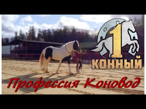 Видео: Профессия Коновод.