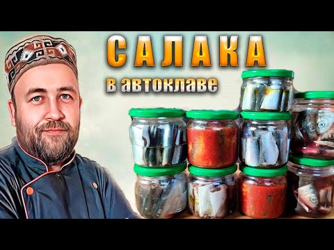 Видео: Домашние рыбные консервы из САЛАКИ Что можно приготовить в автоклаве