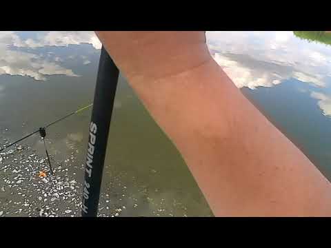 Видео: Июль 2024 рыбалка