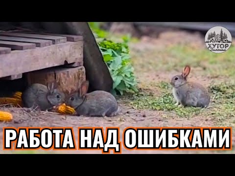 Видео: РАБОТА НАД ОШИБКАМИ