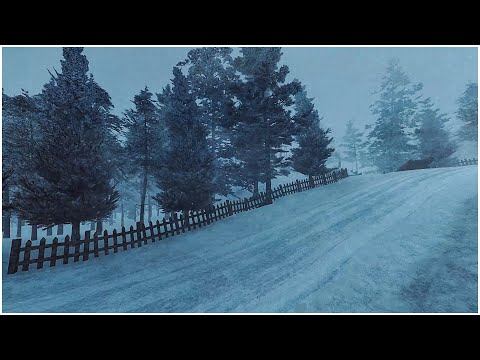 Видео: Звуки ледяного ветра и сильной метели для сна┇Громкий снег и атмосфера морозного ветра