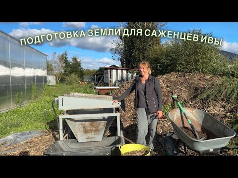 Видео: Подготовка земли для саженцев ивы. Русская ива.