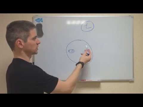 Видео: Что такое логика - [Логика #2]