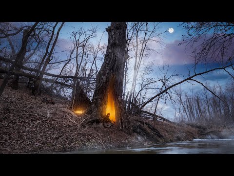 Видео: 24 ЧАСА В ДУПЛЕ ДЕРЕВА | СДЕЛАЛ УЮТНОЕ УБЕЖИЩЕ ДЛЯ ВЫЖИВАНИЯ