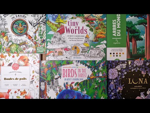 Видео: Май 2023/ Раскрашенные страницы #coloringbook #coloriage