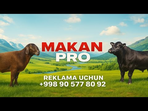 Видео: 27-ИЮЛЬ/ХОЖЕЛИ МАЛ БАЗАРЫ 