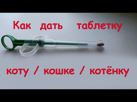 Видео: Как правильно дать таблетку коту / кошке