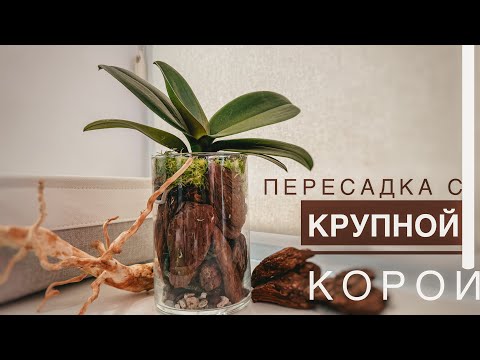 Видео: Ну это ОЧЕНЬ красиво😍быстро и просто!