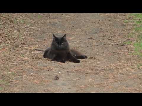 Видео: Поселок Бор Туруханского района 30 лет спустя