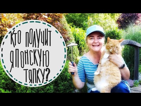 Видео: Конкурс порядочный садовод! Идеи для организации садовых инструментов. Голосование закончено!