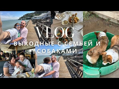 Видео: USA | Выходные в Sausalito с Семьей |  С СОБАКАМИ на прогулке.