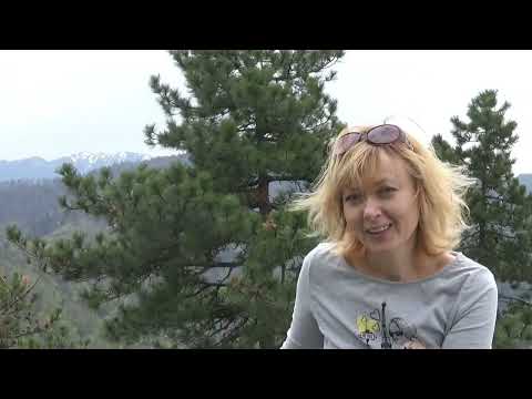 Видео: Румыния. Брашов | Romania. Brasov | România. Brașov