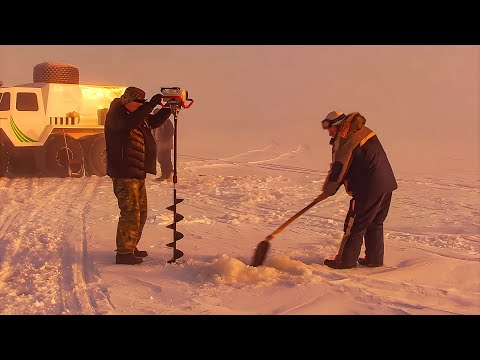 Видео: За крупной щукой | С полем!