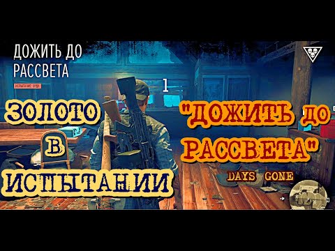 Видео: Days Gone Испытания Дожить До Рассвета Золото  Days Gone Challenge Dead Before Daylight Gold