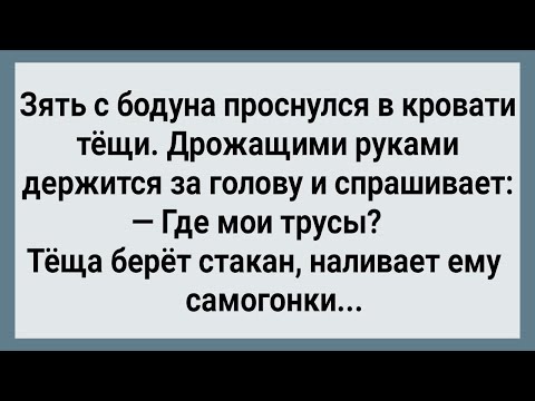 Видео: Как Зять После Пьянки с Тещей Проснулся! Сборник Свежих Анекдотов! Юмор!