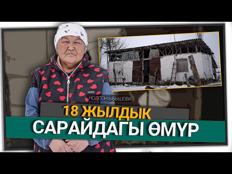 Видео: "Жетим жерден терип жейт деген чын экен" дейт Чолпон Ыбышова