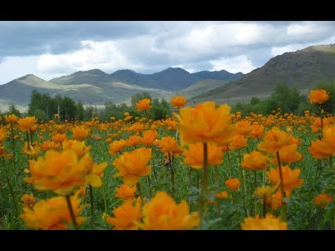 Видео: Посвящается моей мамочке.