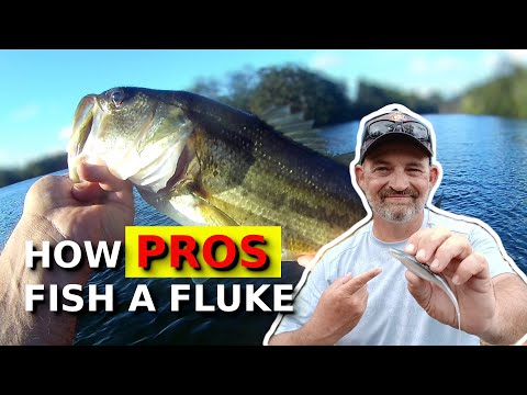 Видео: ПРОФИ СКАЗАЛИ МНЕ НЕ публиковать ЭТО СЛУЧАЙНОЕ ВИДЕО!!!!! (НО Я ВСЕ РАВНО ЭТО СДЕЛАЛ!!!!!)