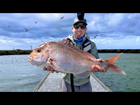 Видео: Да начнётся Хаос!!