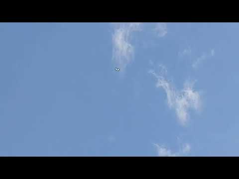 Видео: 12.10.2025 и 13.10.2025 Бакинские голуби города Гянджа.