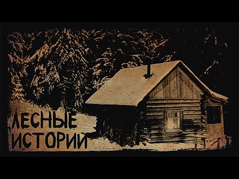 Видео: Лесные истории. Ужасные и мистические события в Лесу (3в1)