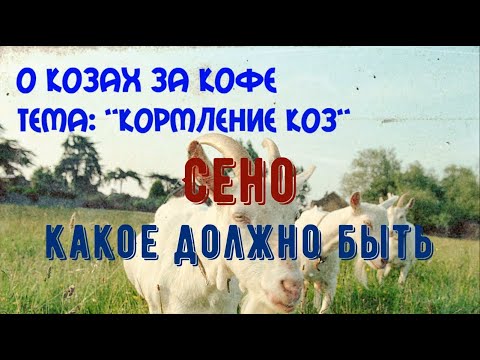 Видео: Кормление коз. Сено. Какое оно должно быть