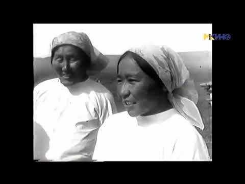 Видео: Араараа модтой Биндэръяа баримтат кино