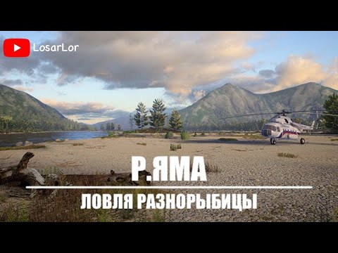 Видео: Ловля На Р.Яма.Без микрофона.Русская Рыбалка 4.Russian Fishing 4