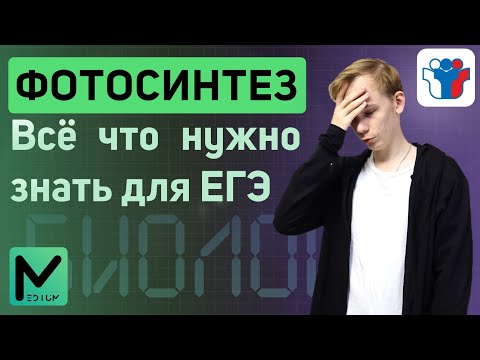 Видео: Фотосинтез / ЕГЭ по биологии