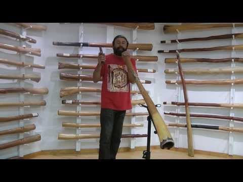 Видео: Как создавать ритмы диджериду с Гумароем Ньюманом