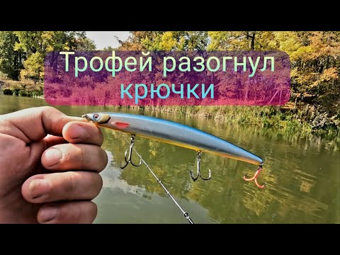 Видео: Трофей разогнул крючки. У этого воблера большое будущее. Рыбалка на ВОБЛЕРЫ В СЕНТЯБРЕ.