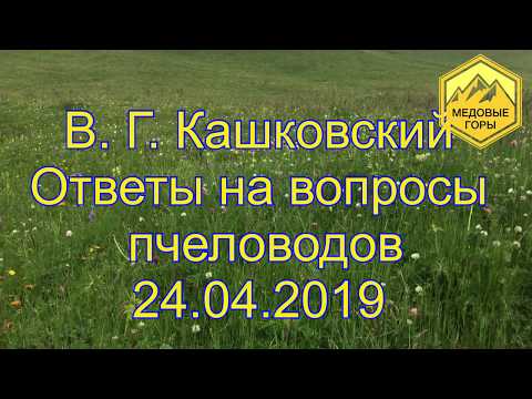Видео: В. Г. Кашковский "Ответы на вопросы пчеловодов"24.04.2019