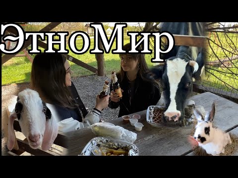 Видео: ЭтноМир| Этно мир отдохнули вдвоем от Москвы, цены, стоит ли ехать?