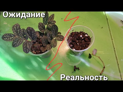 Видео: Посылка с новинками