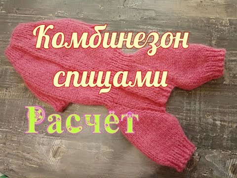 Видео: Комбинезон для собаки спицами, Расчёты, DIY suit for dogs & cats