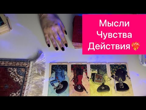 Видео: 4 короля таро: мысли чувства действия💜