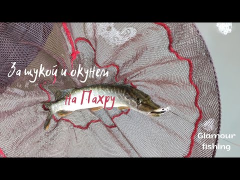 Видео: На Пахру за щукой и окунем