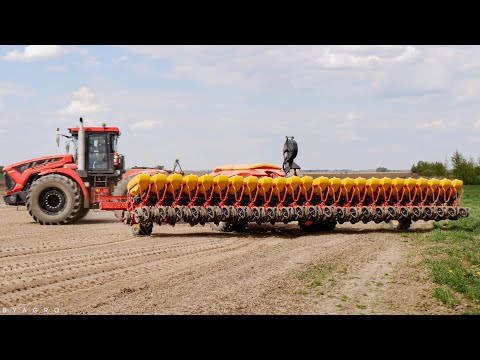 Видео: 24 РЯДА! 💪 КИРОВЕЦ К-742М и VÄDERSTAD Tempo L24 на посеве сахарной свеклы