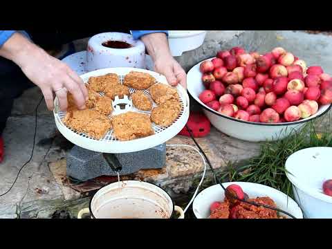 Видео: Натуральный яблочный портвейн 2021 года. Жму сок. Сливаю с осадка. Добавляю сахар. Пью.