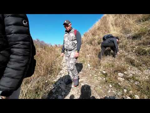 Видео: Японская дорога в конце октября. 4К.